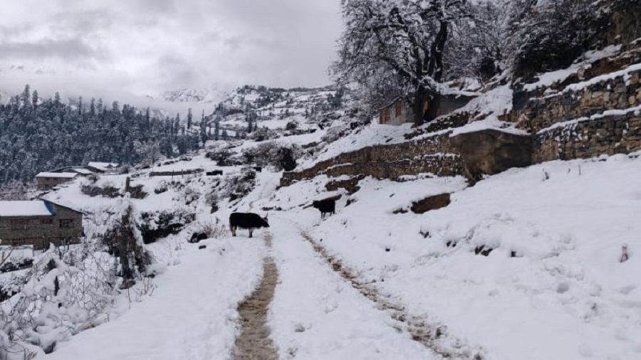  म्याग्दी हिउँ पहिरोमा बेपत्ता छन्त्याल अझै सम्पर्क विहीन